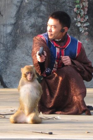 Mon coloc kiff trop ma vie — du coup je sors ce week-end Jian - rencontre-Libertine-Montpellier